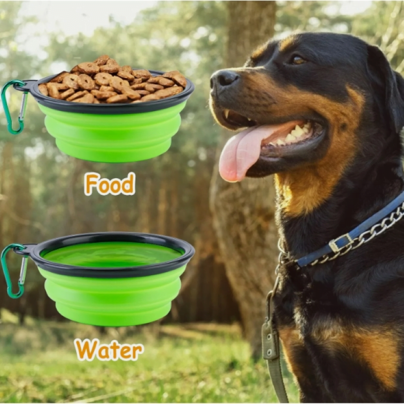 微信截图 20240510160856